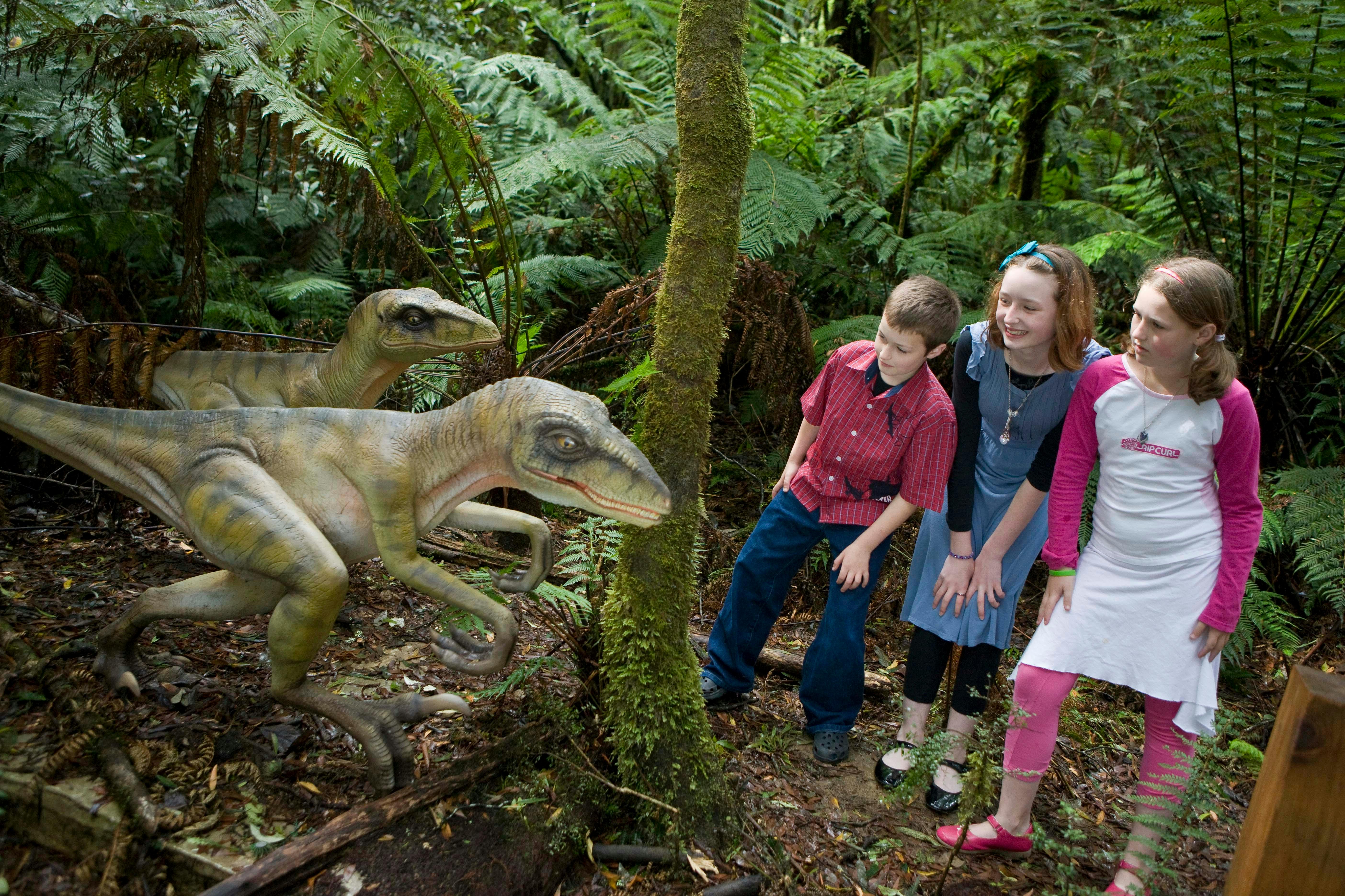 Otway fly Adventure