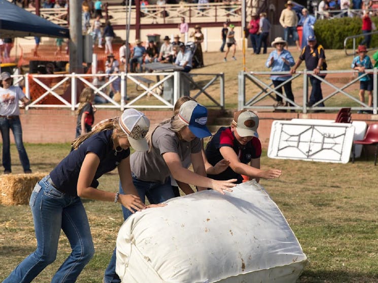 Cooma Show Wool Bale rolling