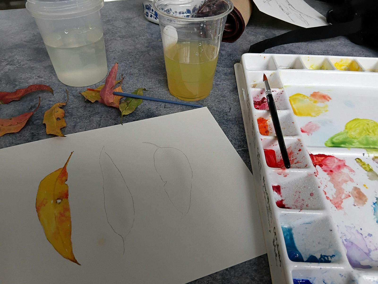Drawn to Nature at Fosterton Retreat