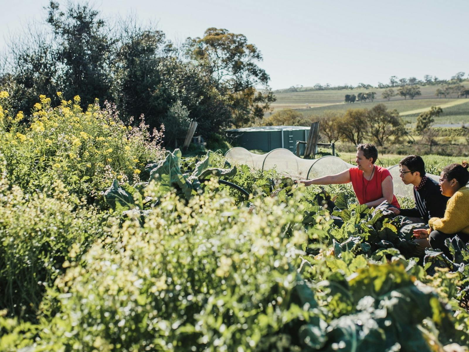 Farm Tour