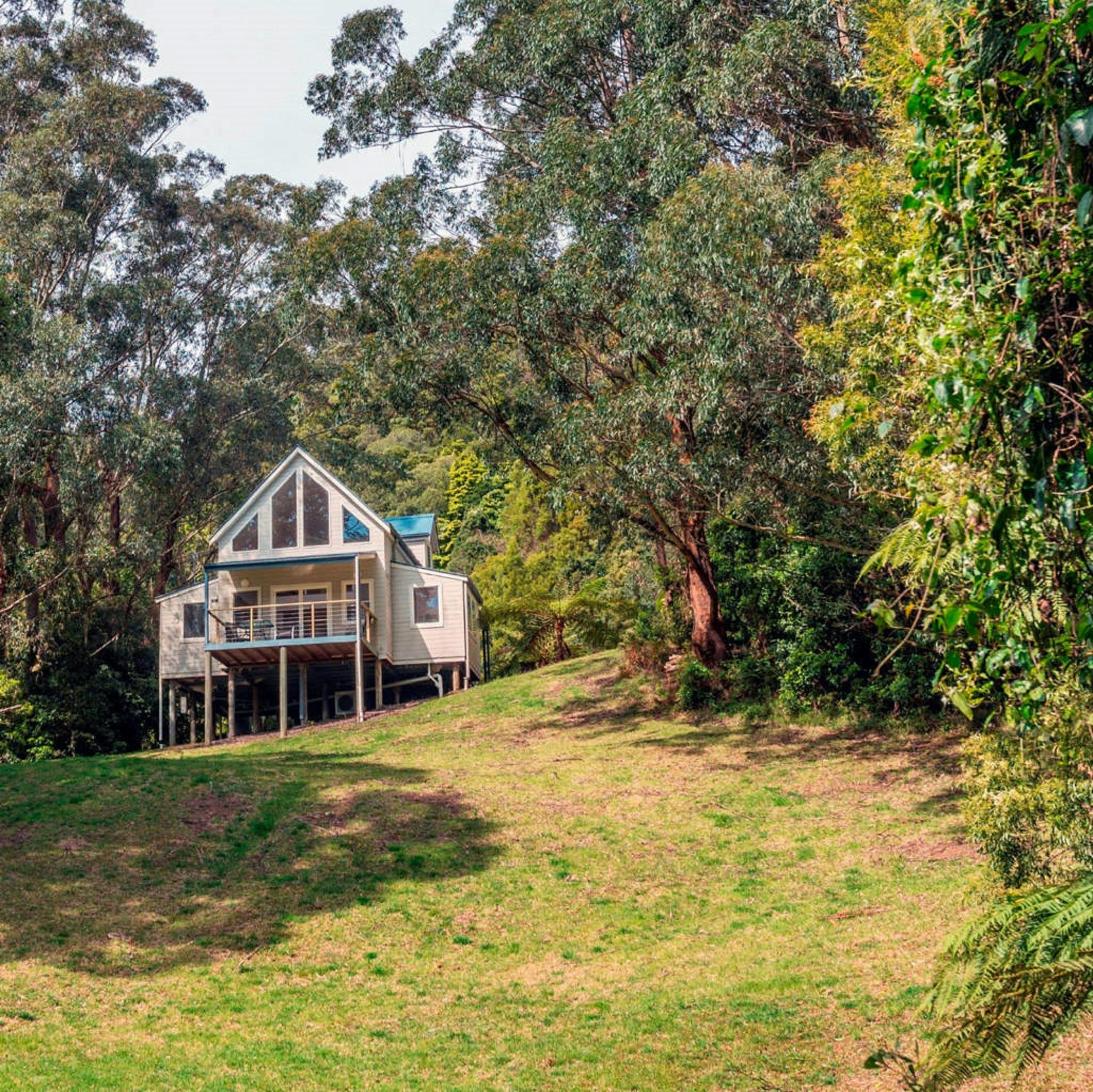 Rainforest Lodge