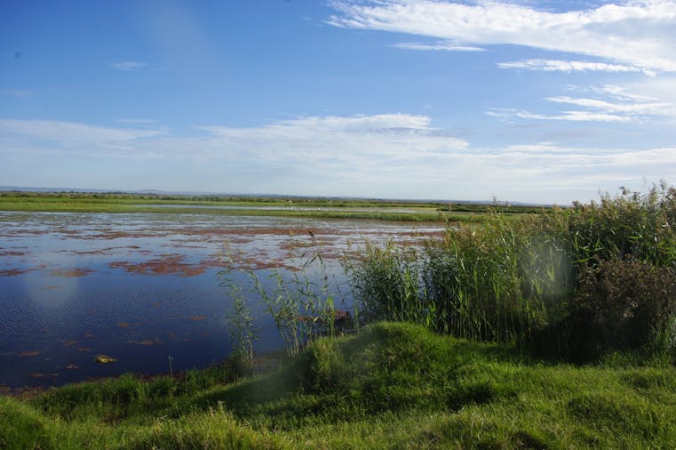 Tolderol Game Reserve