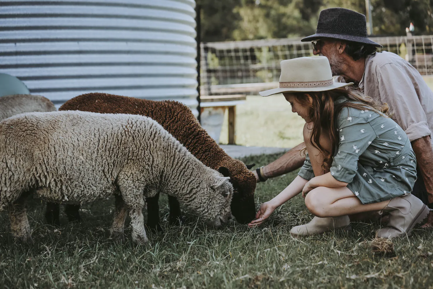 Young girl with her father handfeeding two sheep next to water tank