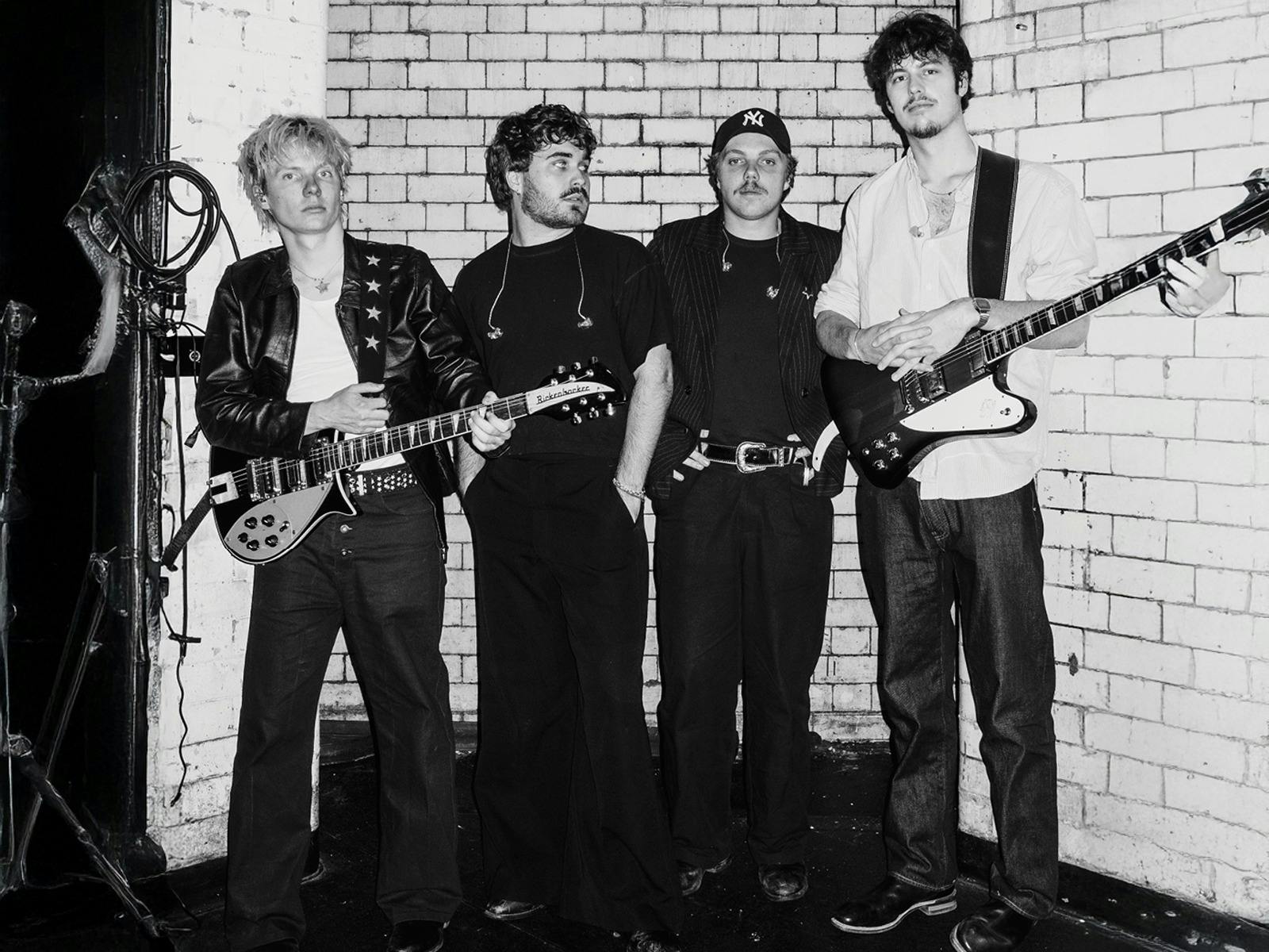 ホーイのライオンズ