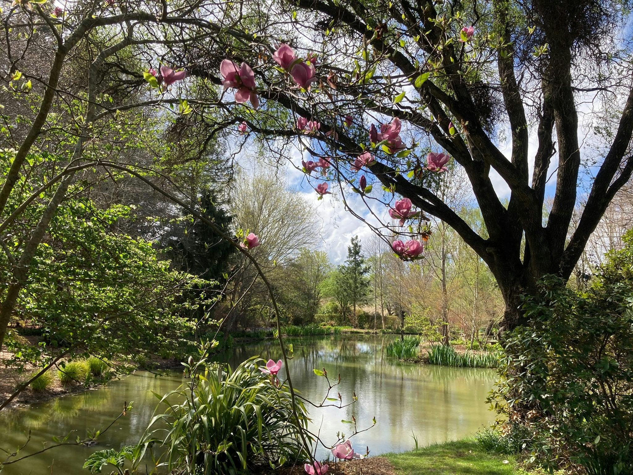 The lake