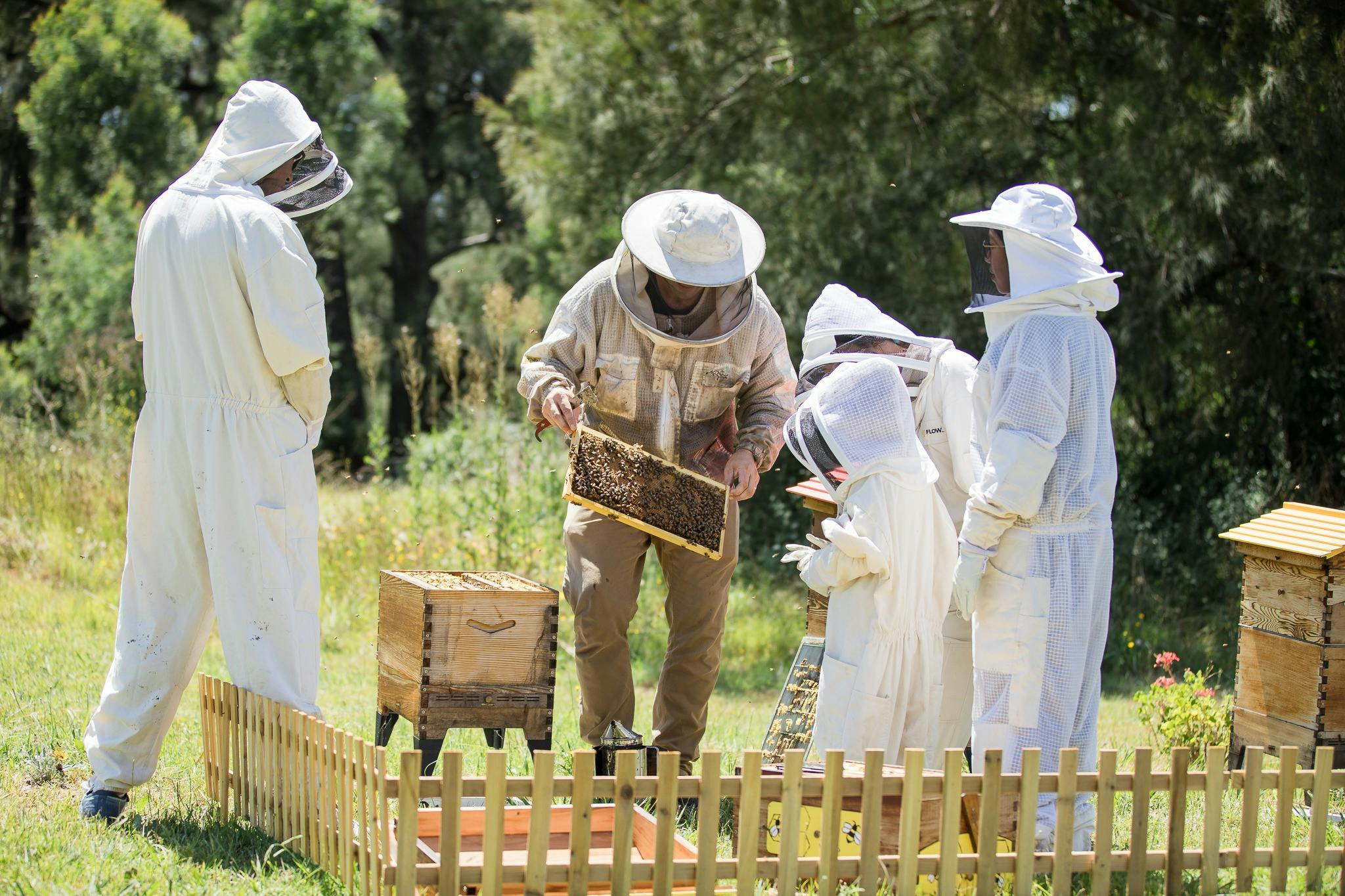 Bee Hive Lavender Farm
