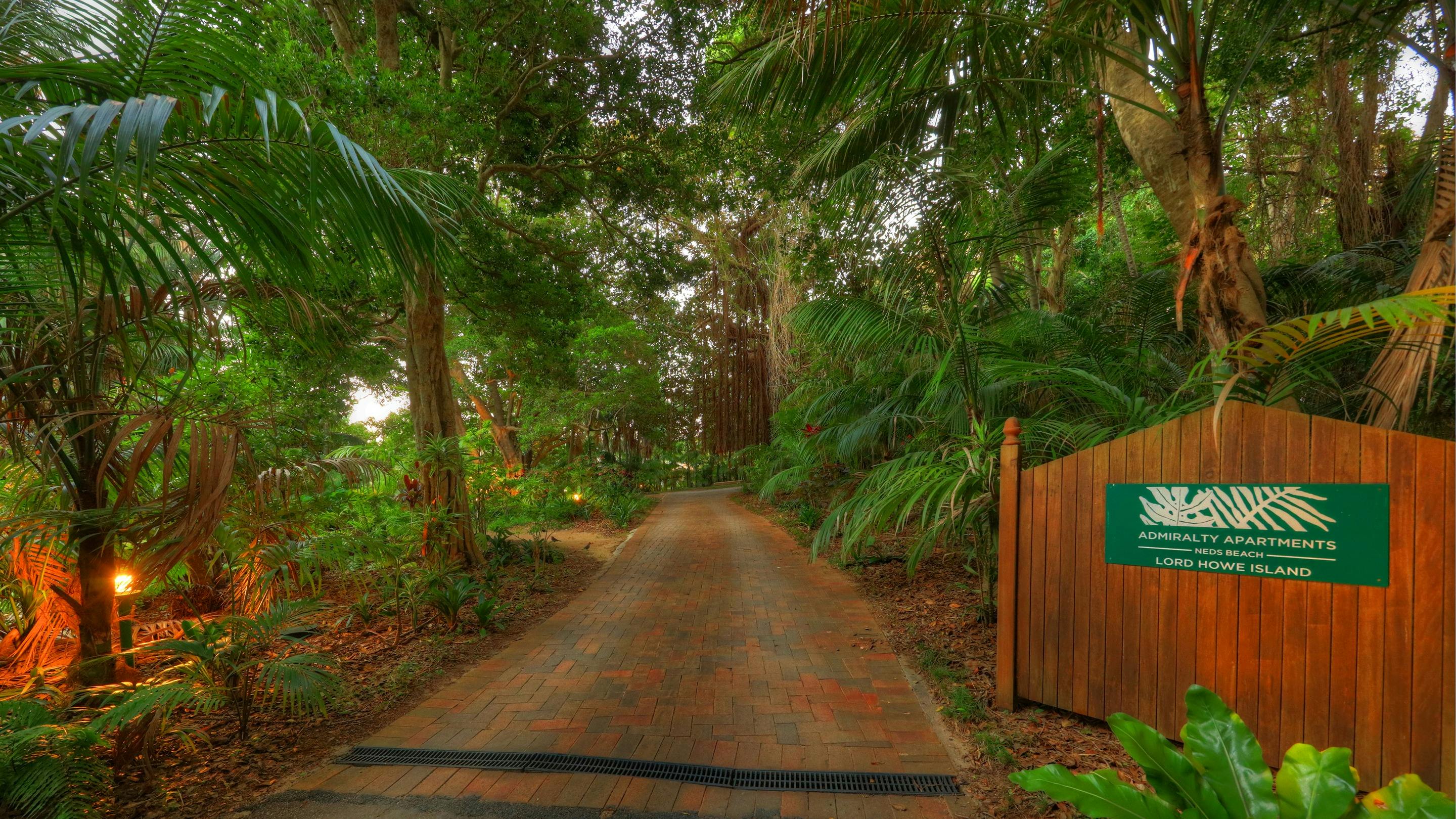 開車前往金鐘公寓，周圍環繞著肯蒂亞棕櫚樹