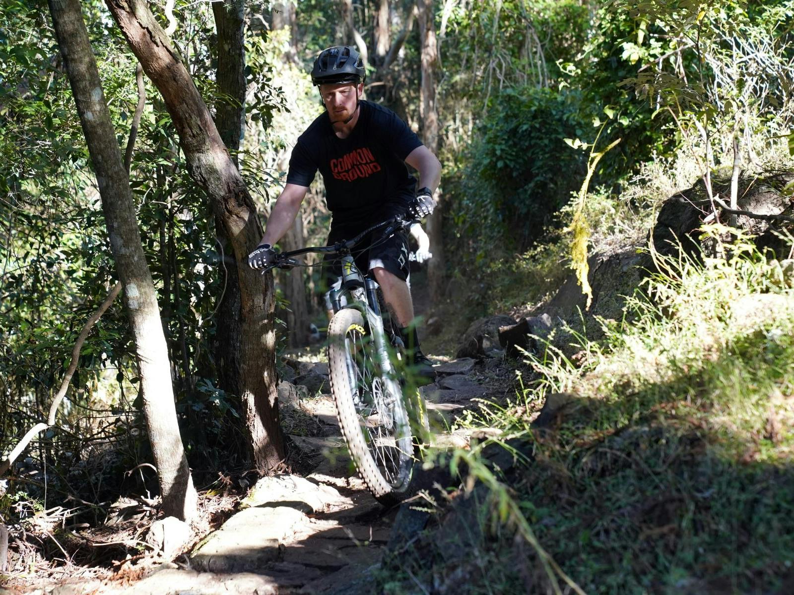 Ride the great trail through the trees Ride the great trail through the trees