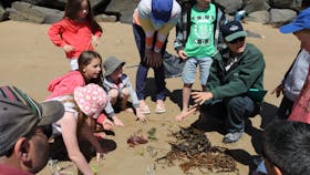 Barwon Bluff Marine Sanctuary