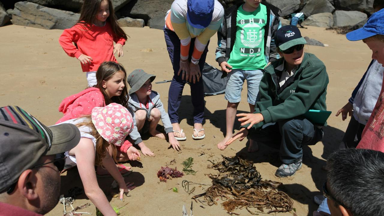 Barwon Bluff Marine Sanctuary