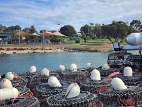Coffin Bay Foreshore