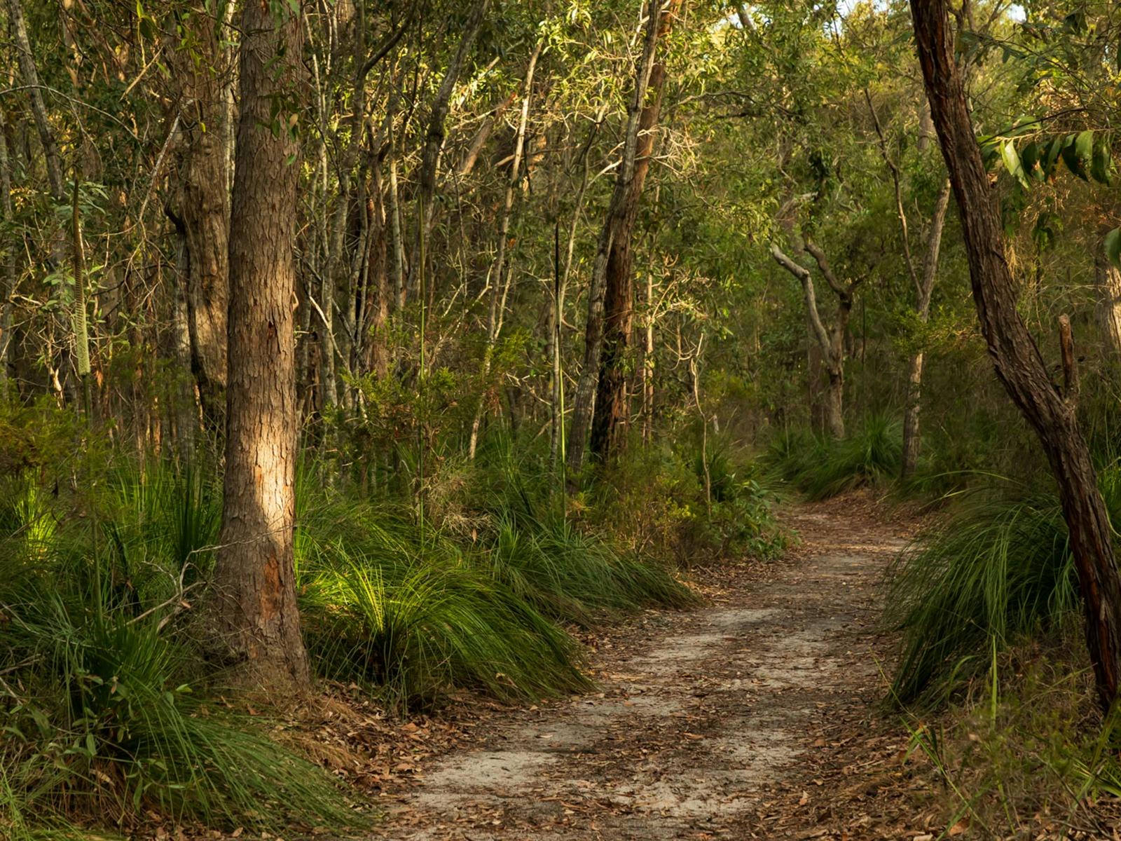 Meadowvale Nature Park
