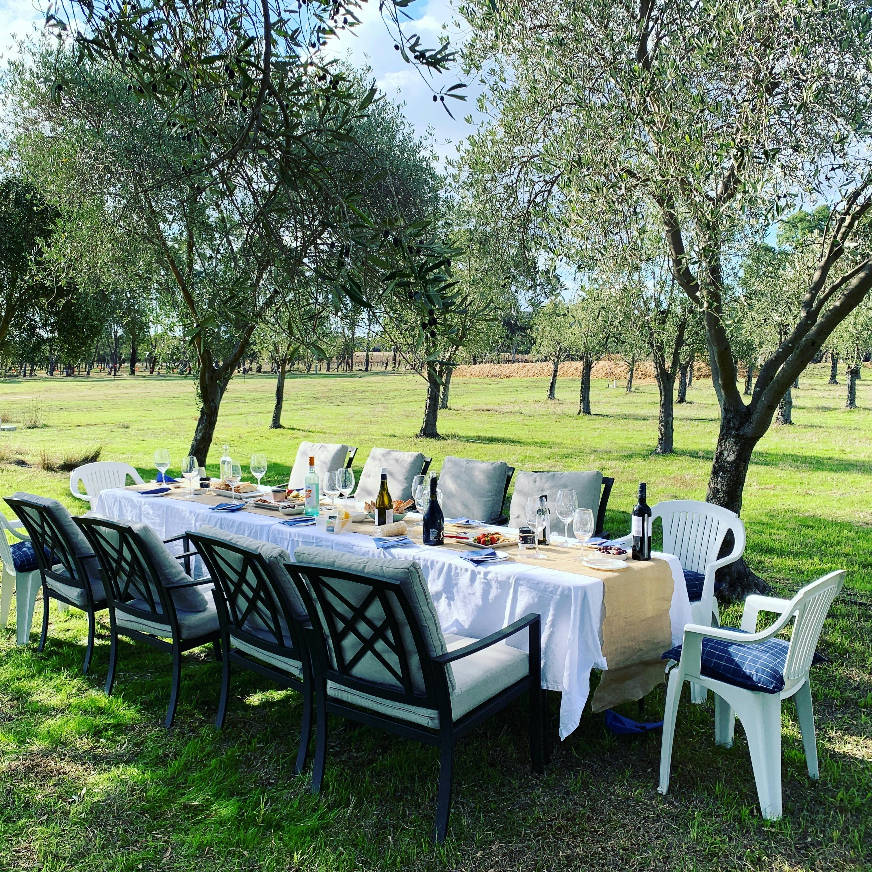 Peninsula Providore picnic table in the olive grove