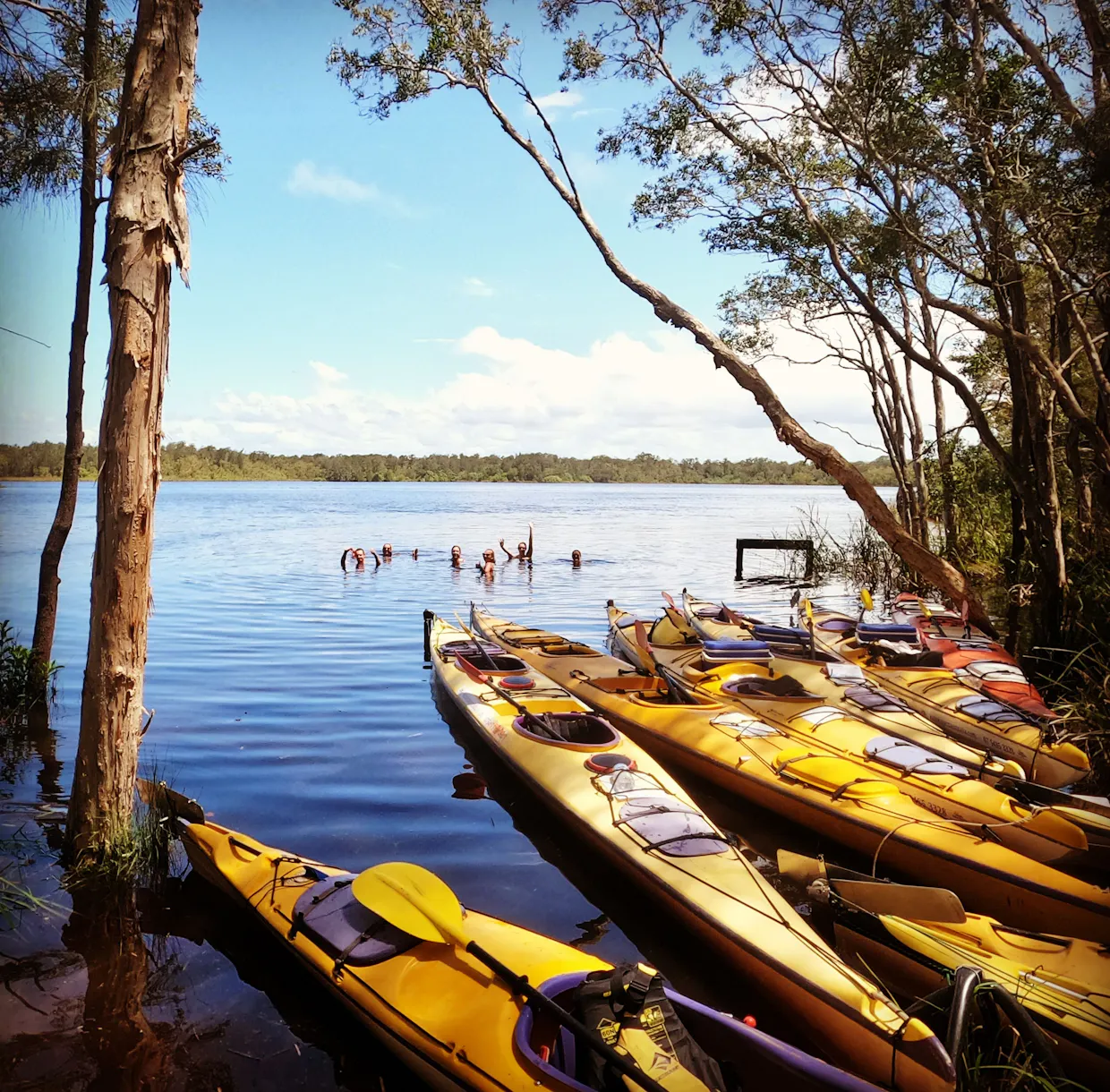 Noosa Everglades Half  Day Guided Kayak Tour