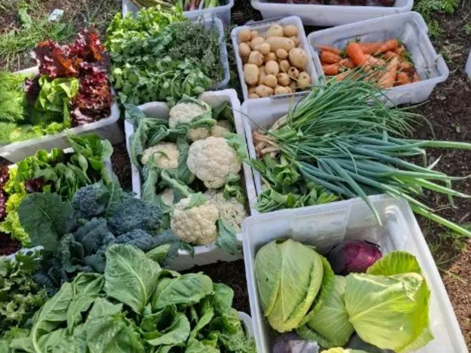 Fresh Farmers Market