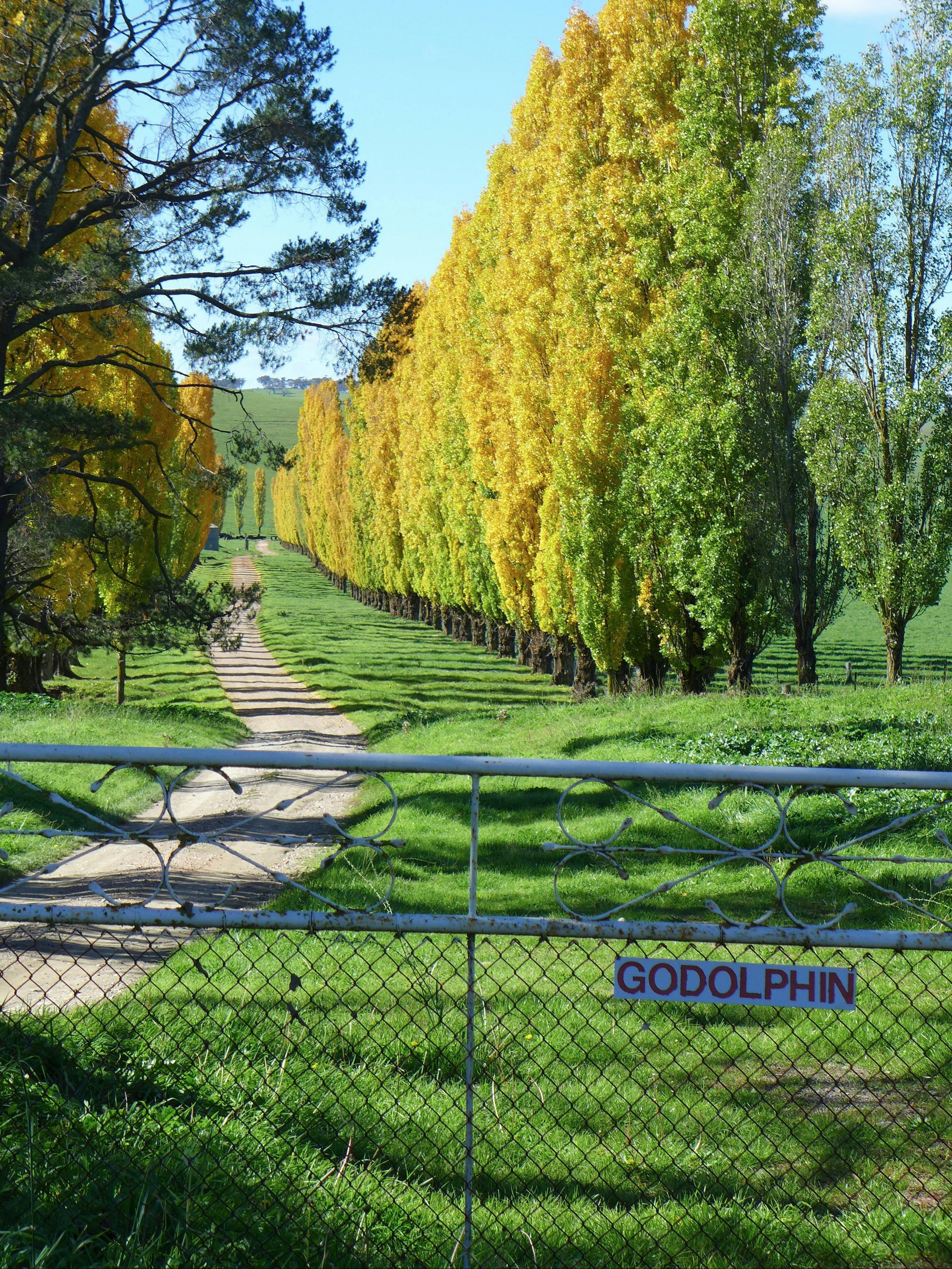 Driveway into property