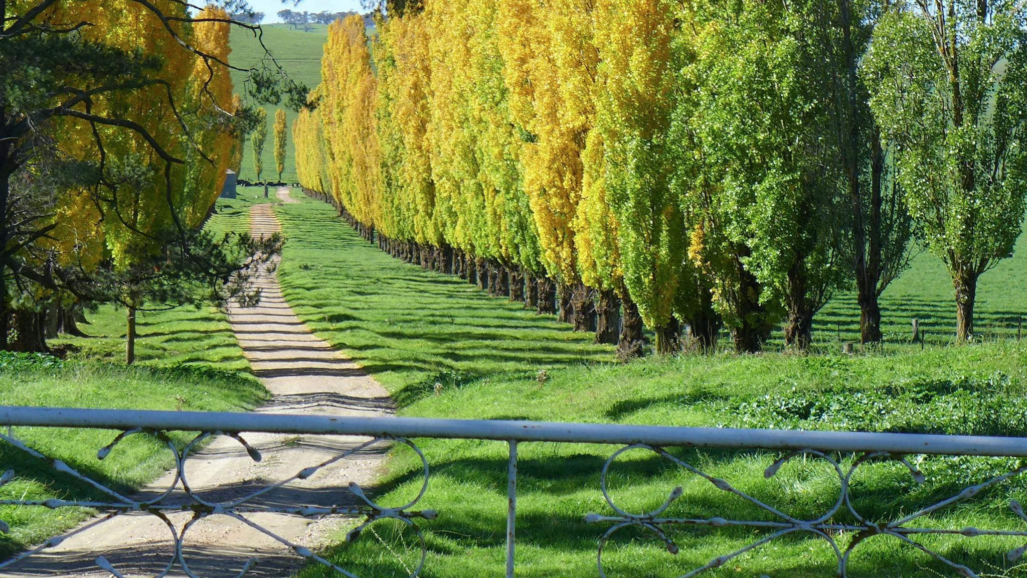 Driveway into property