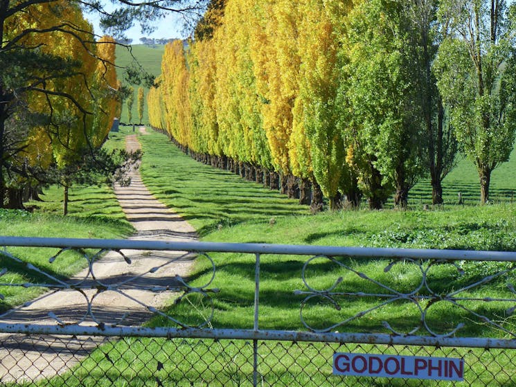 Driveway into property