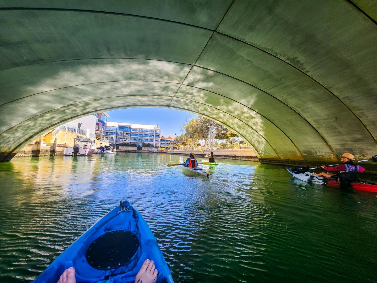 Estuary Escapades - Paddling Stories of Mandurah