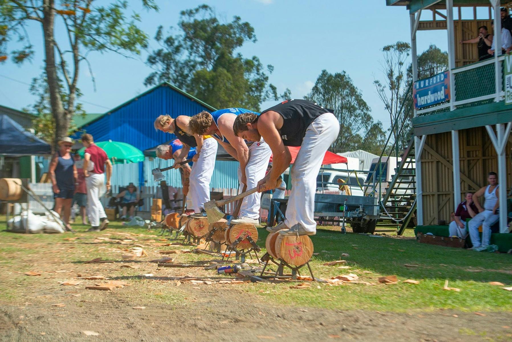 Wood Chopping