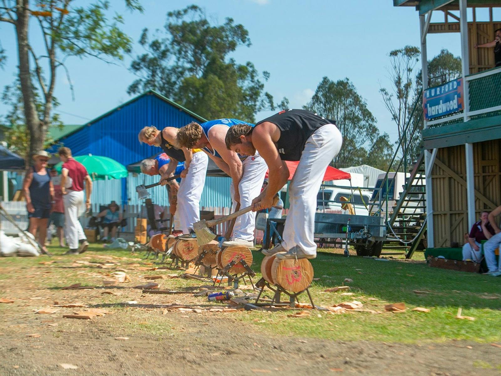 Wood Chopping