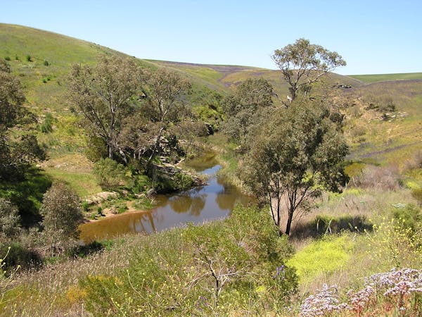 Rocks Reserve