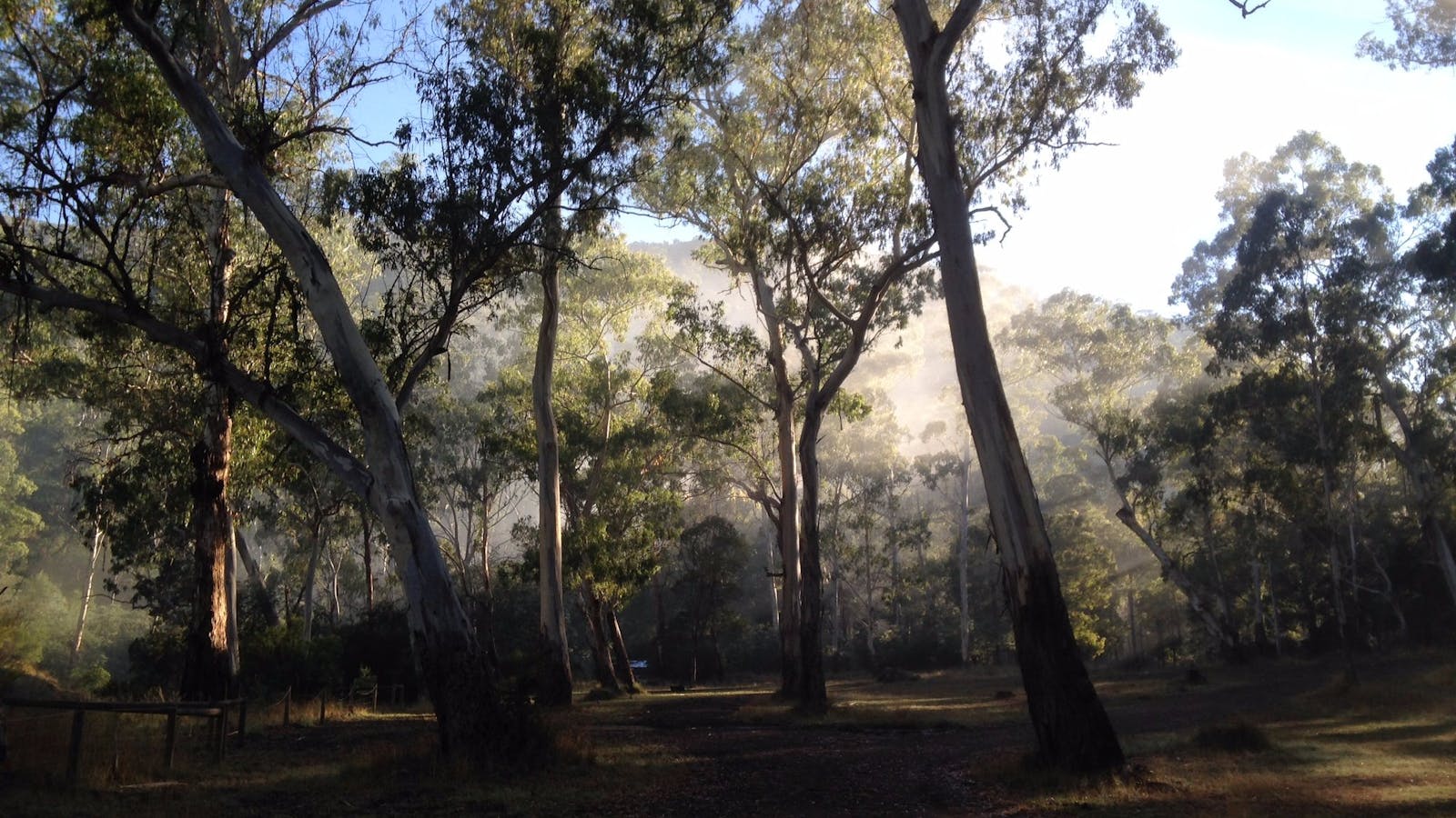 Running Creek Camping Area
