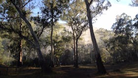 Running Creek Camping Area