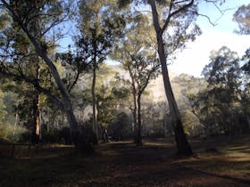 Running Creek Camping Area