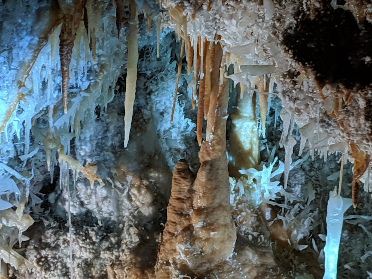 Jenolan Caves tour, Blue Mountains tour, Sydney adventure tour