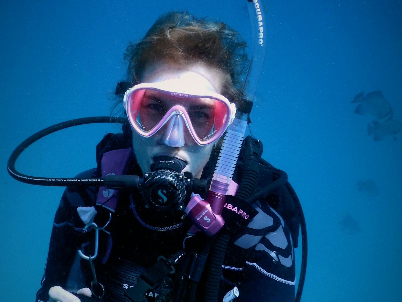 Pilbara Dive and Tours