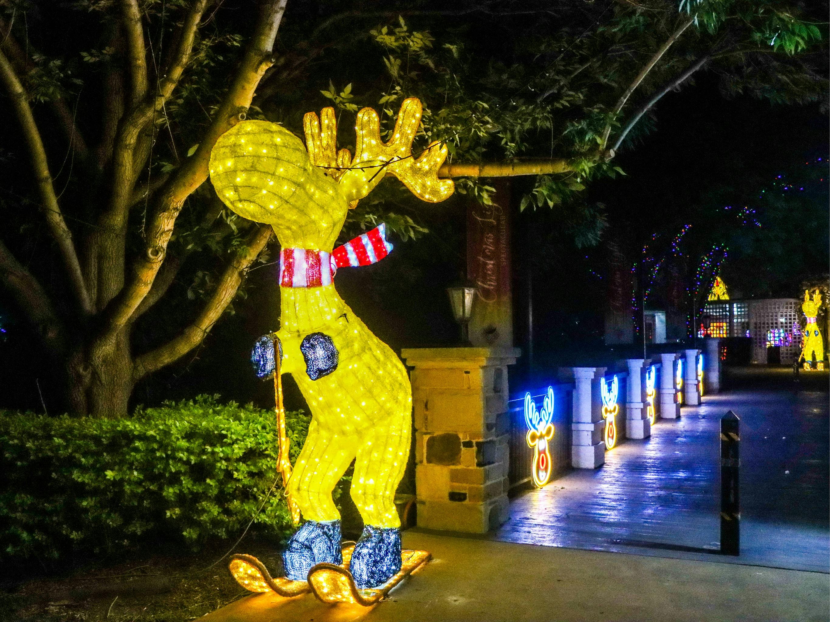 Christmas Lights Spectacular