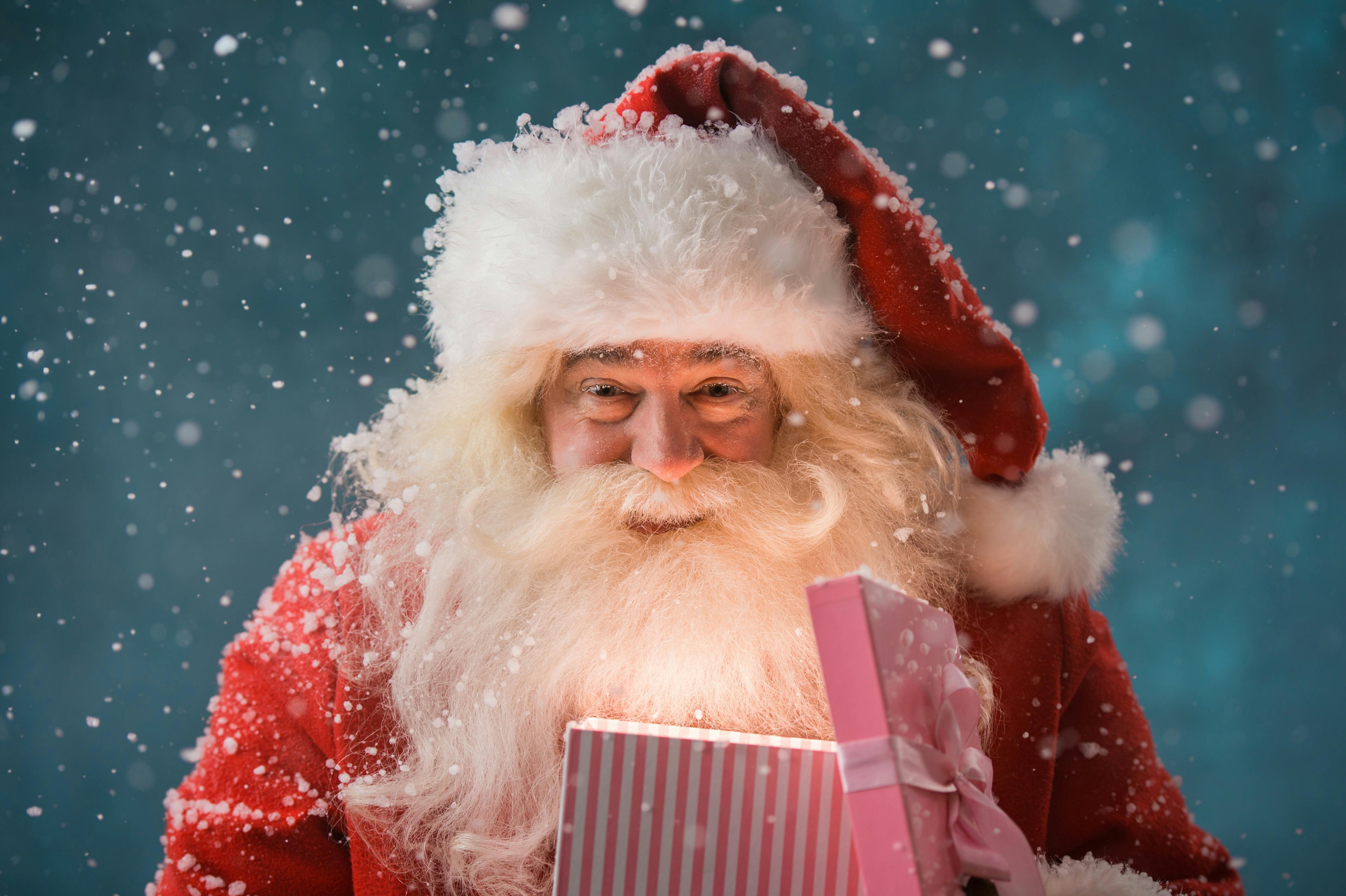 Holly Jolly Christmas Twilight