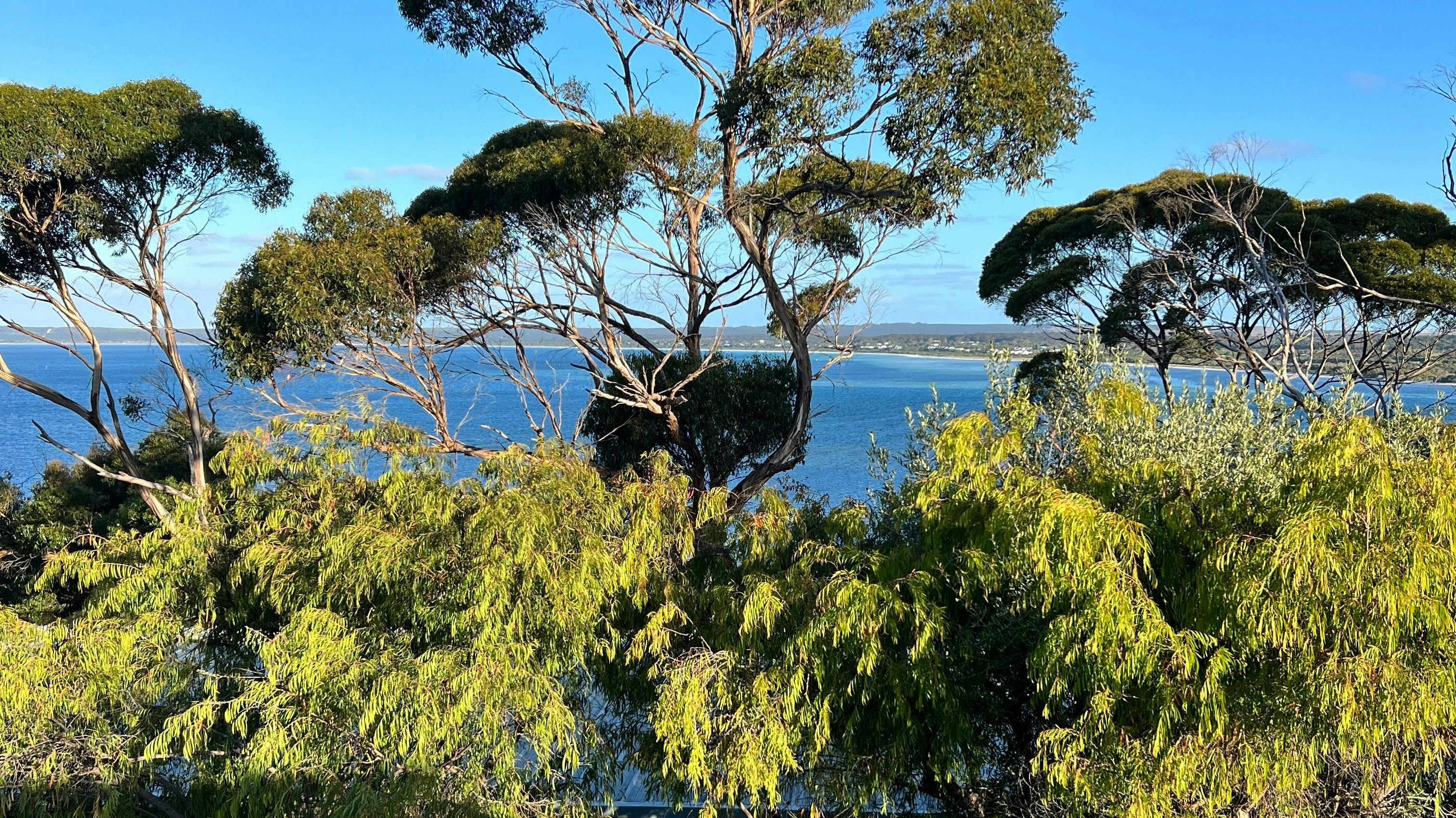 View from Samphire Restaurant