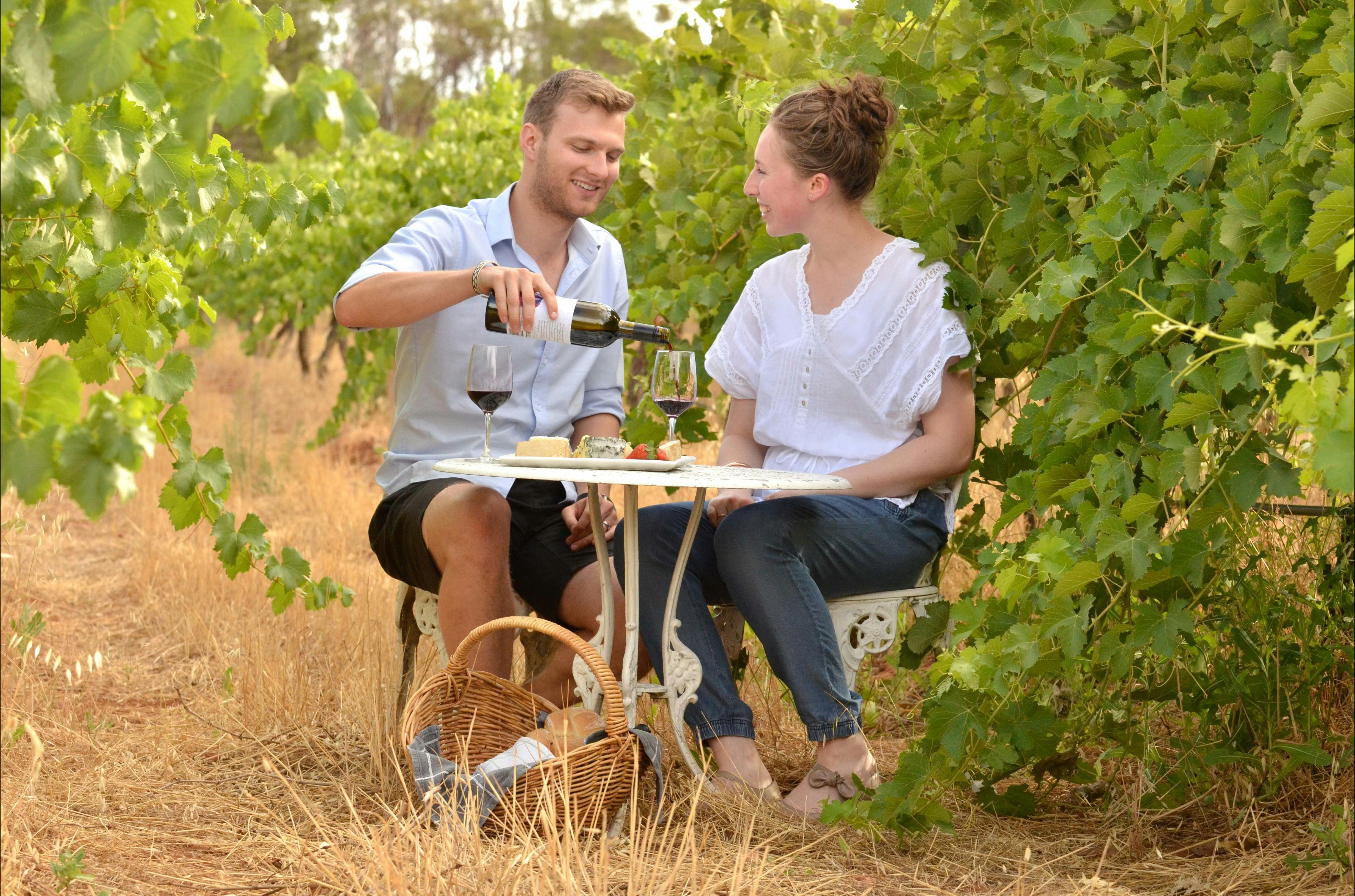 Enjoy a glass of wine in the vineyard.