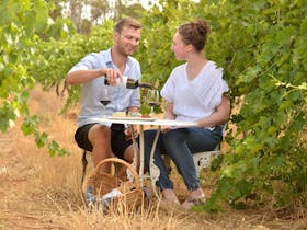 Enjoy a glass of wine in the vineyard