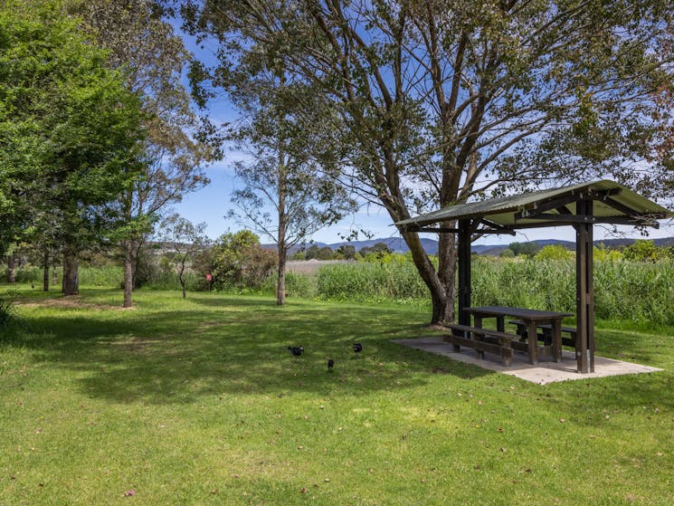 Panboola Wetlands, Pambula, Sapphire Coast NSW, walking, birdwatching, cycling