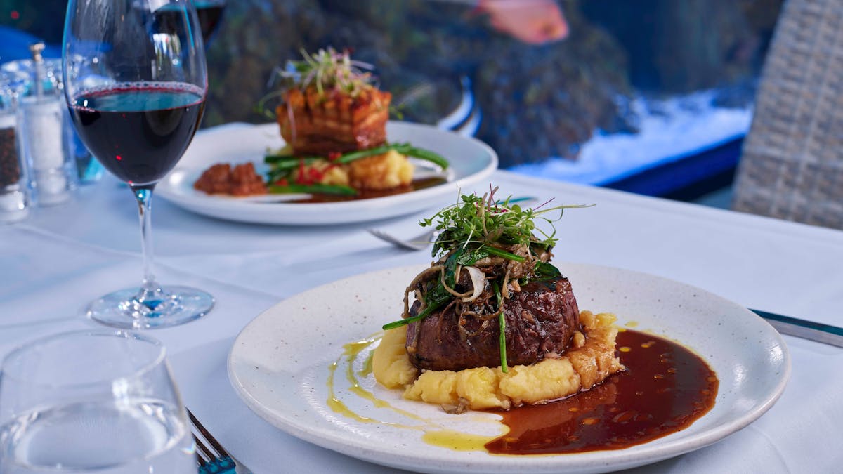 Night at the Aquarium Main Meal