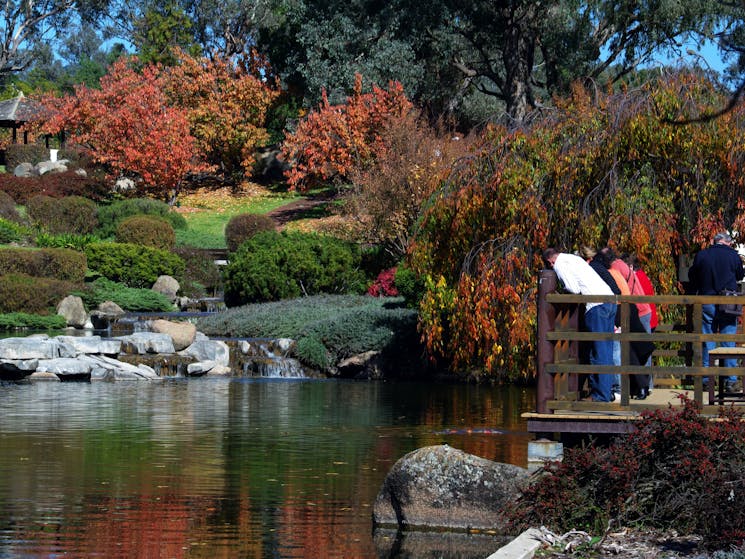 Cowra Japanese Garden in autumn
