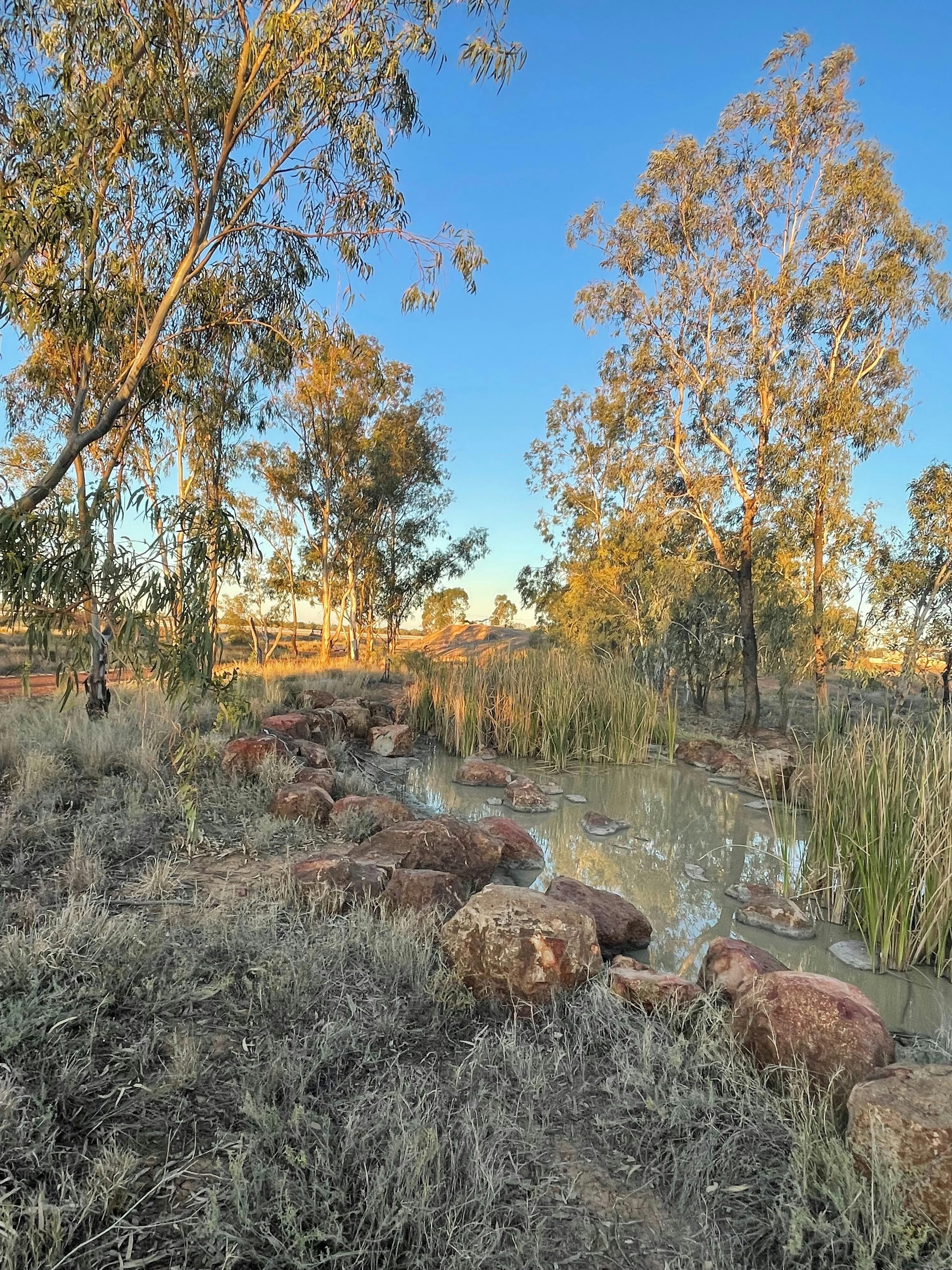 Cunnamulla Bushland Walk