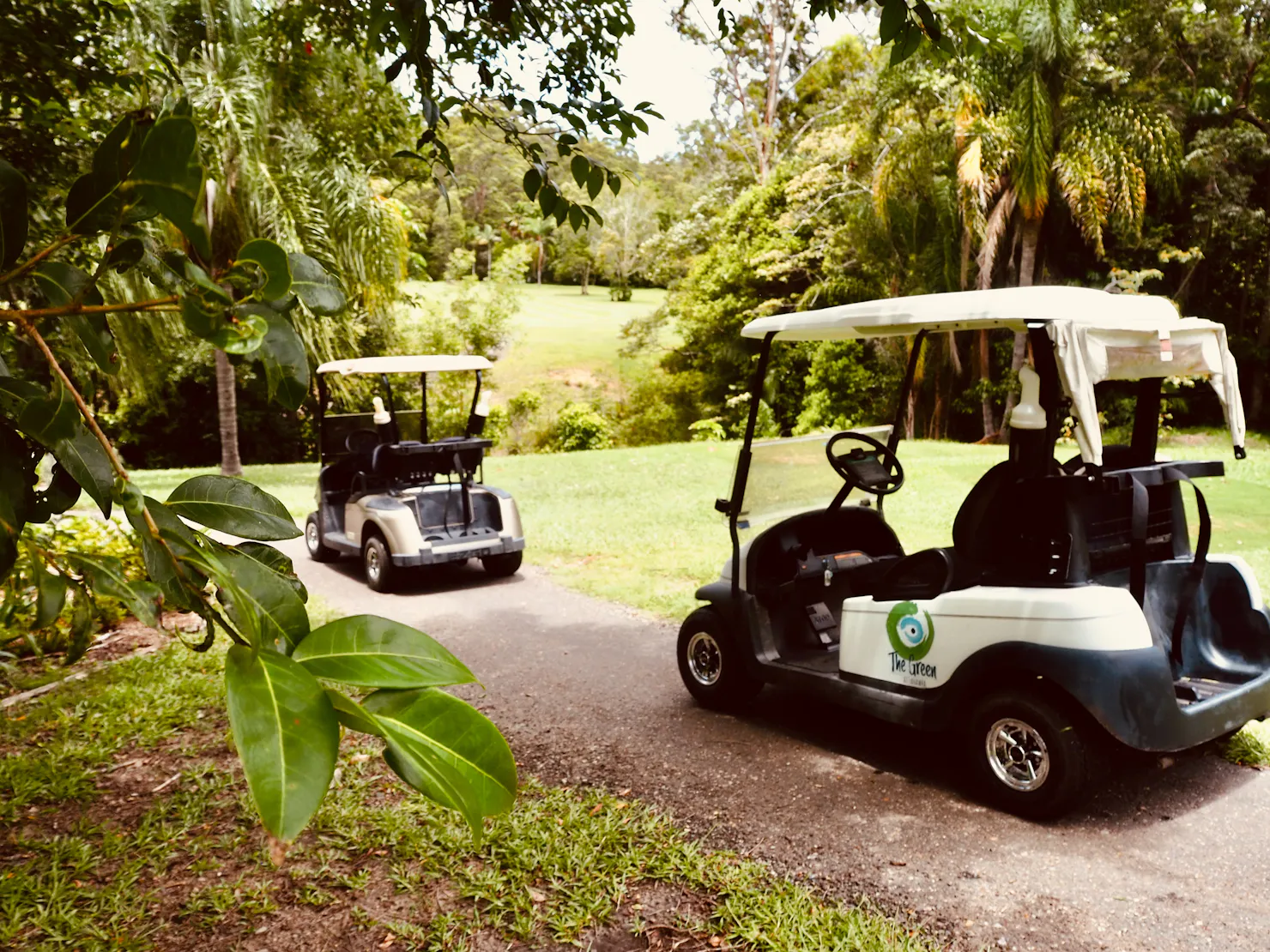 Golf carts for hire lined up ready for a round of golf at The Green at Tanawha