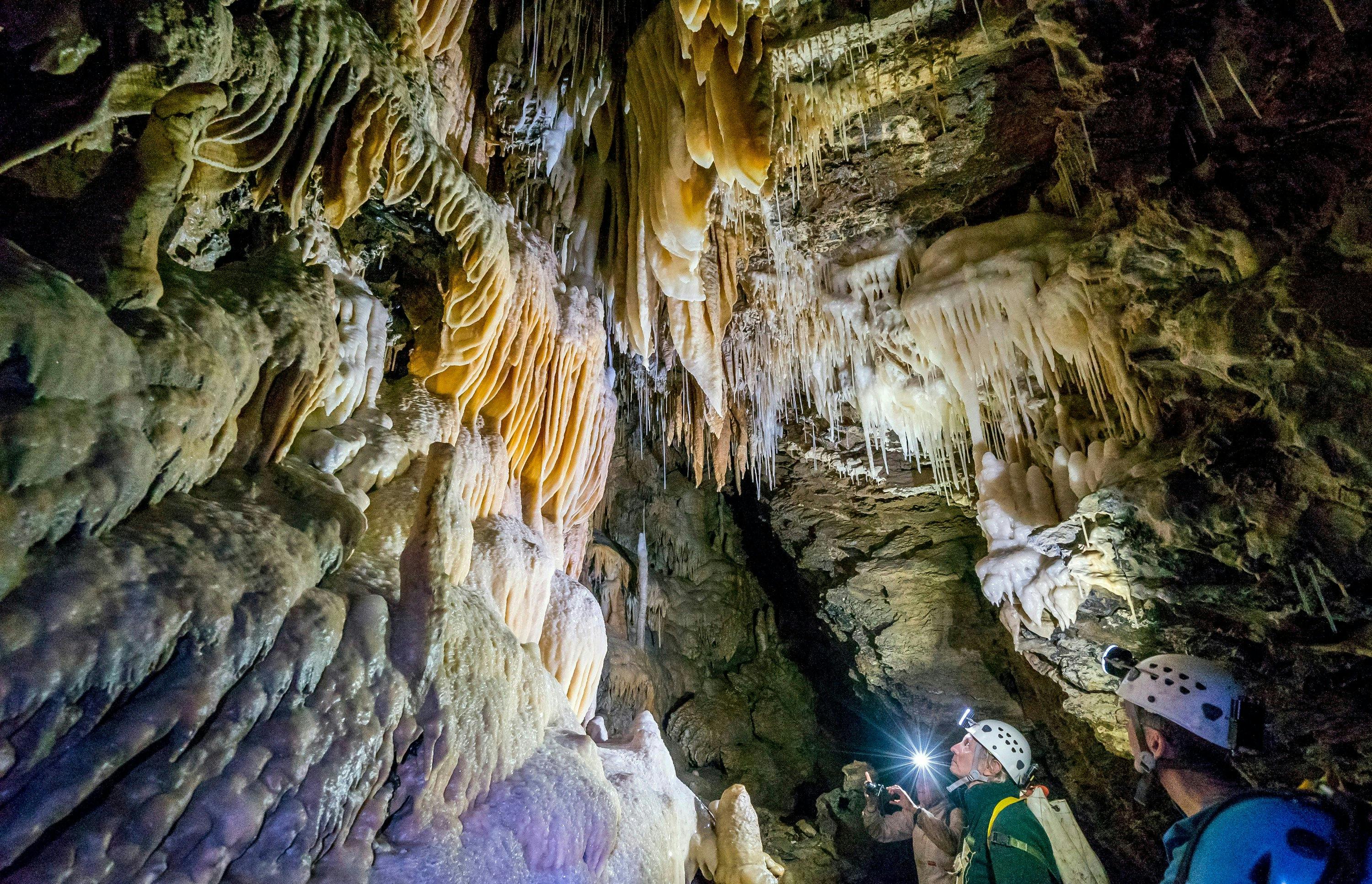 Visit Northern Tasmania Wild Cave Tours