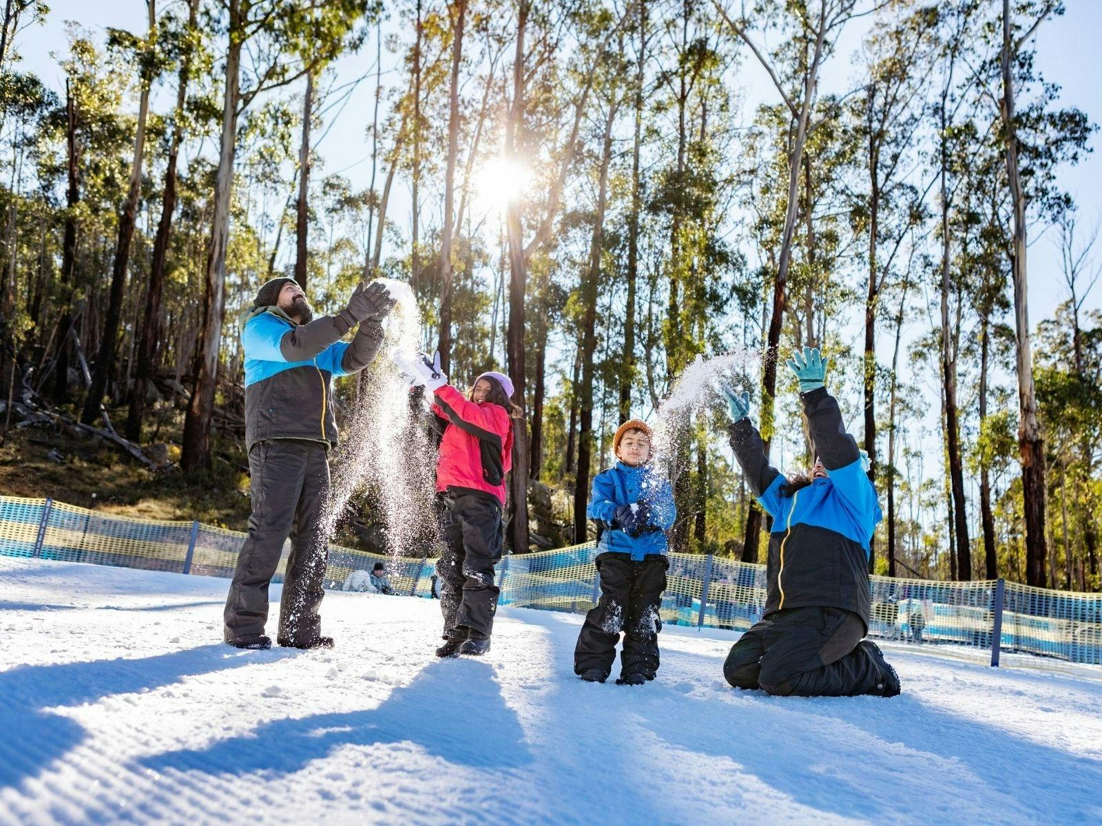A family of four smiles as they throw snow in the air with sun shining through trees behind them