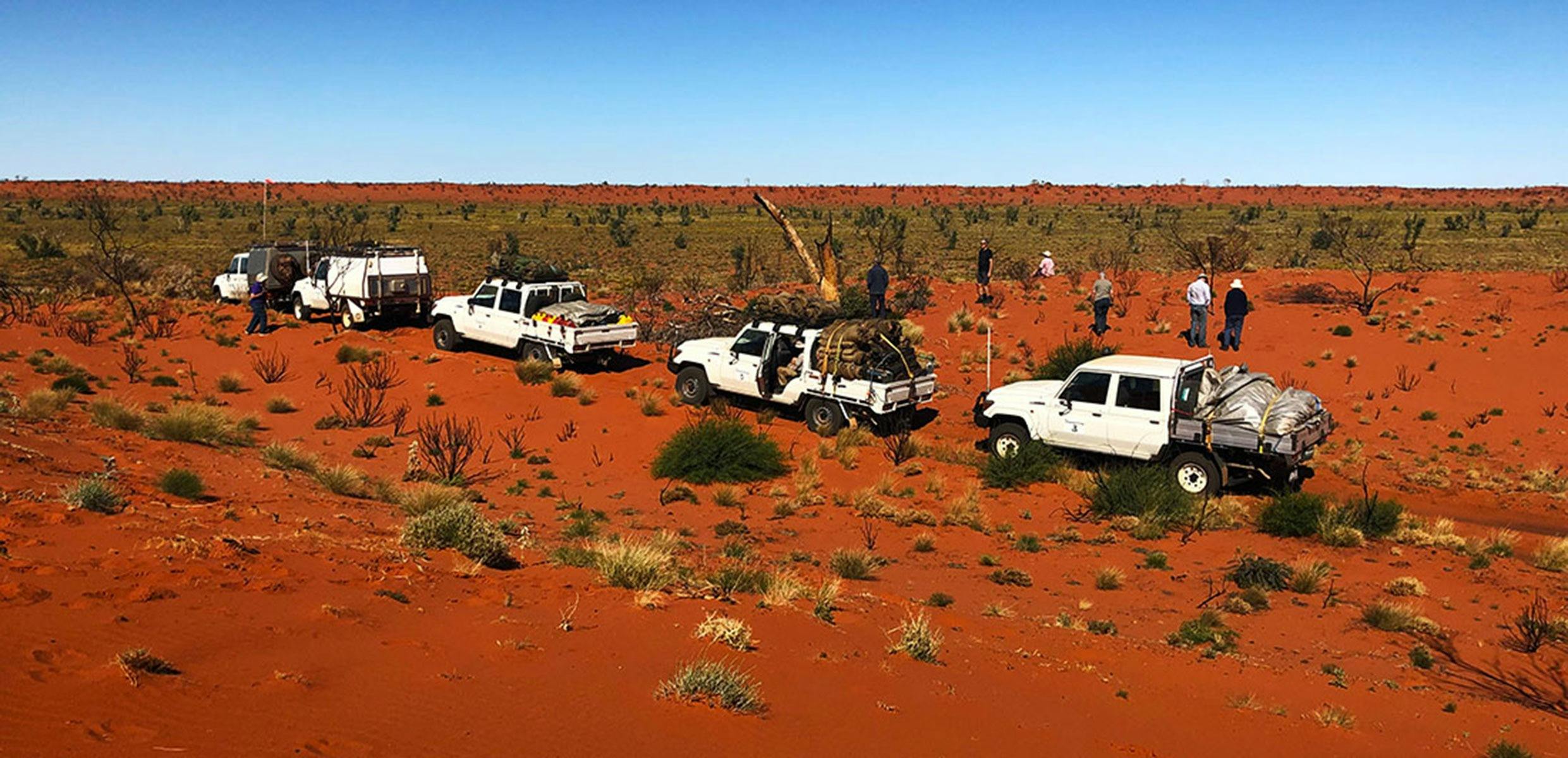 vehicles in great sandy desert