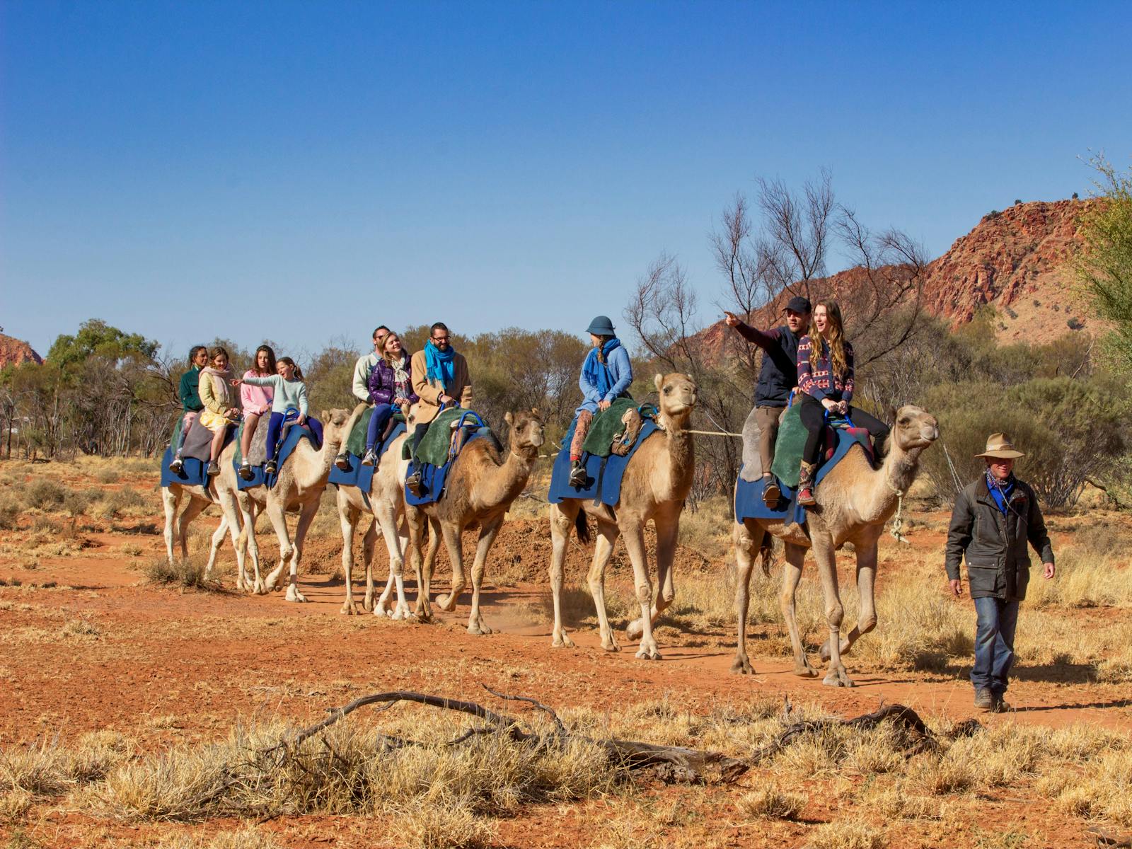 Pyndan Camel Tracks