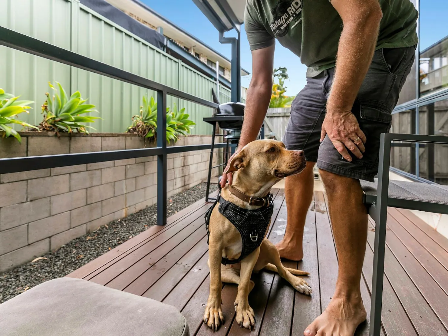 Ingenia Holidays Noosa North Dog