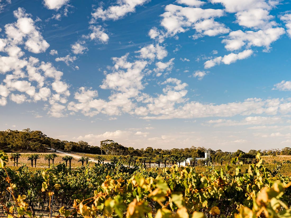 Seppeltsfield Road Marananga, Attraction South Australia