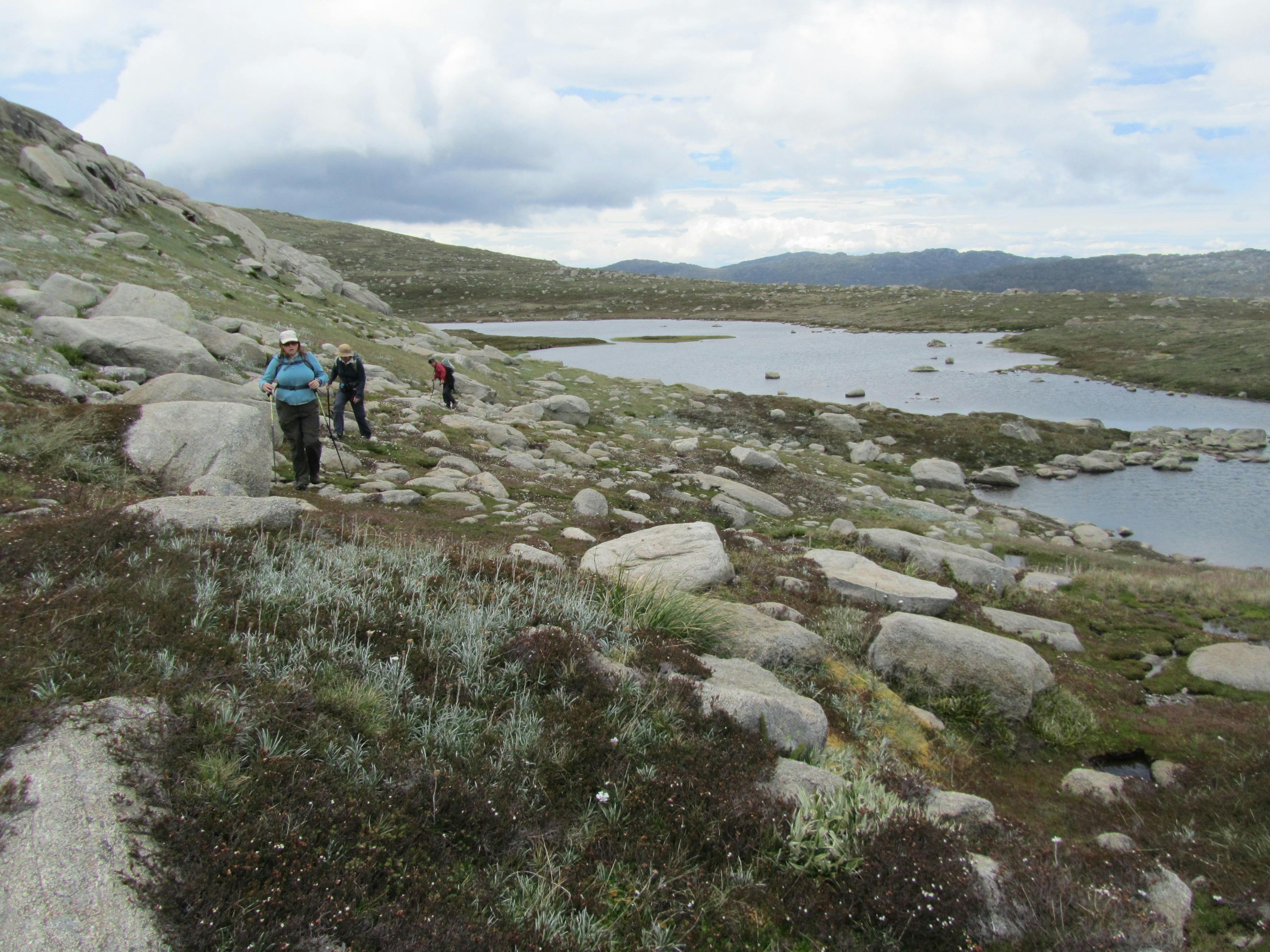 Snowies Alpine Walk and Mount Kosciuszko - 6 Day - Self Guided