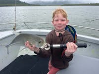 Live bait fishing in the estuary of Trinity Inlet, Cairns with the kids!