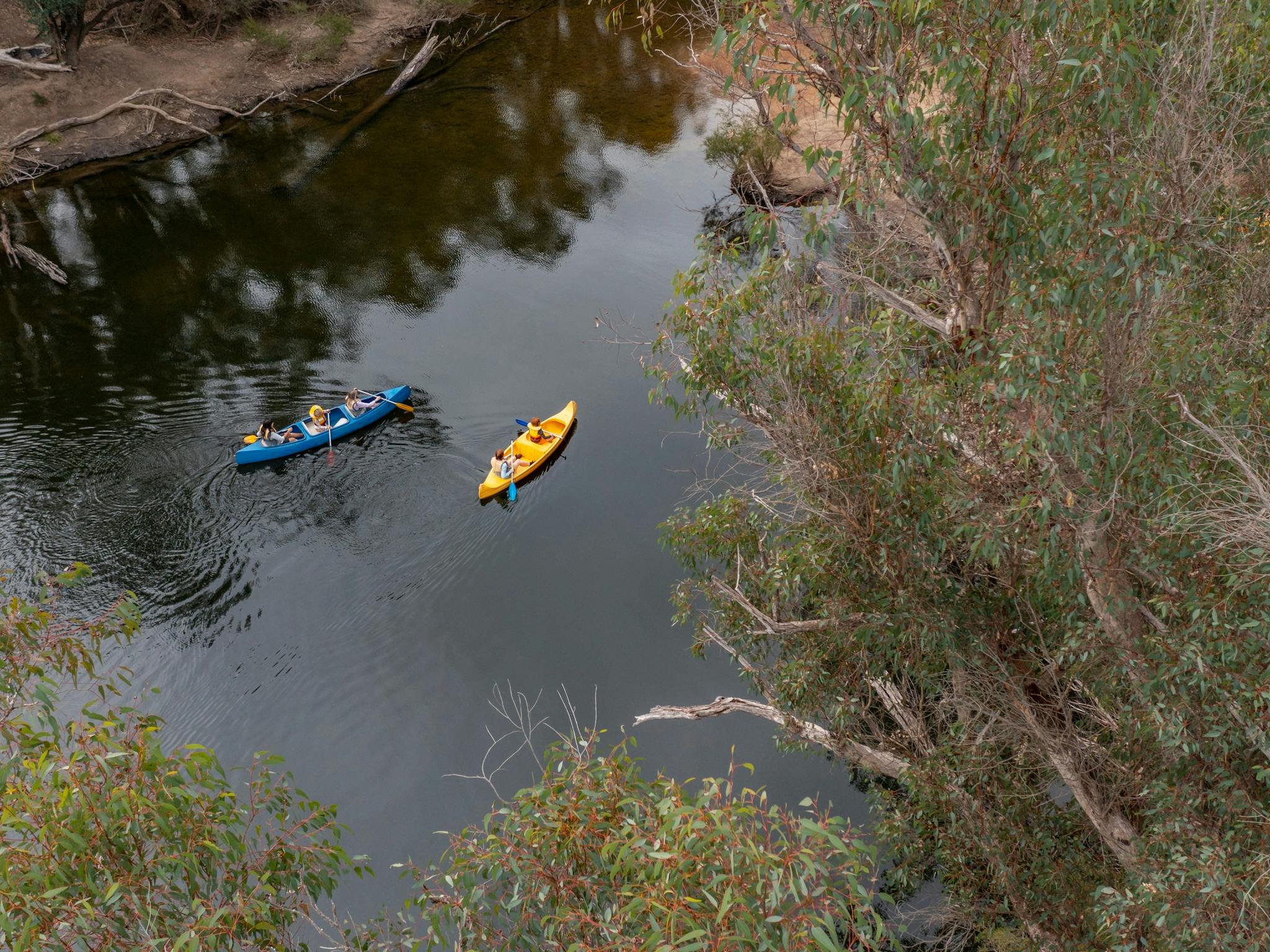Dwellingup Adventures, Dwellingup